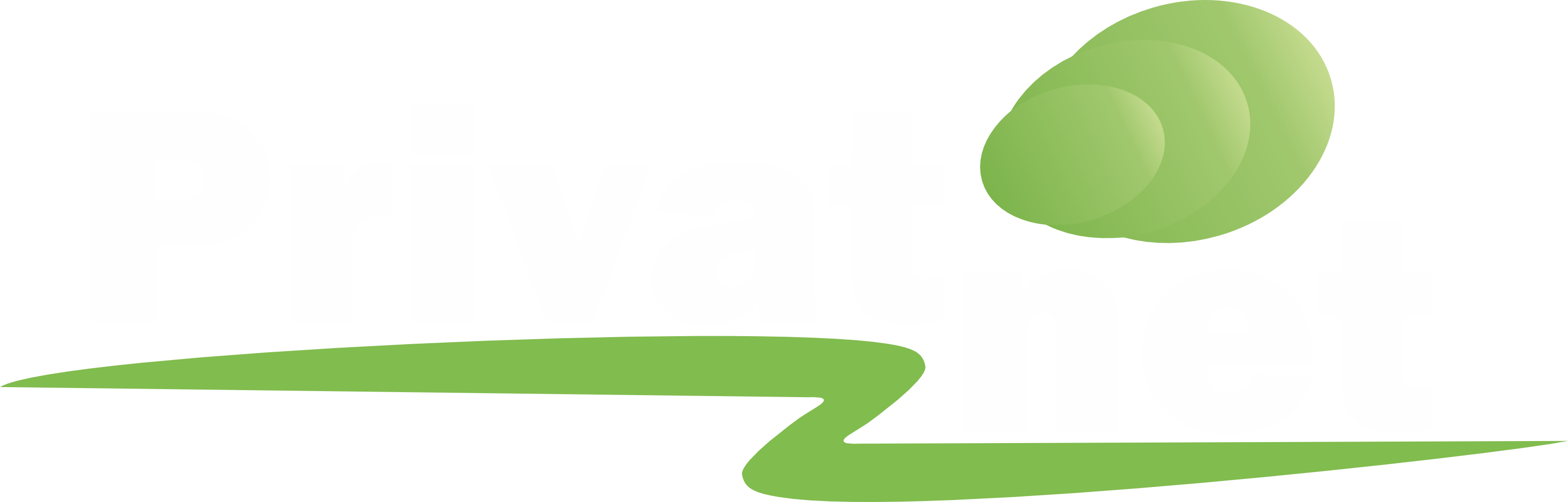 Privatnet Logo