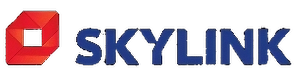 Skylink logo